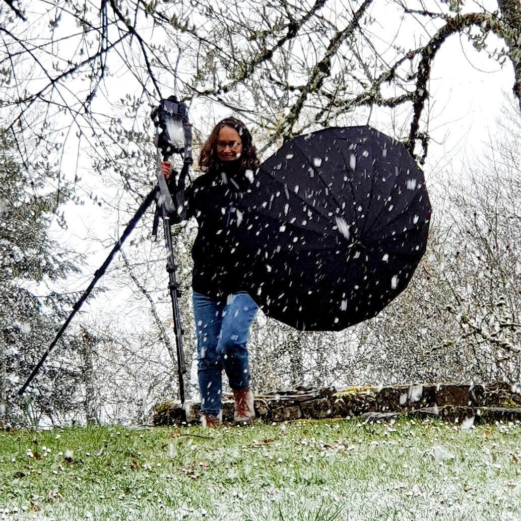 photographe sous la neige promo 2023